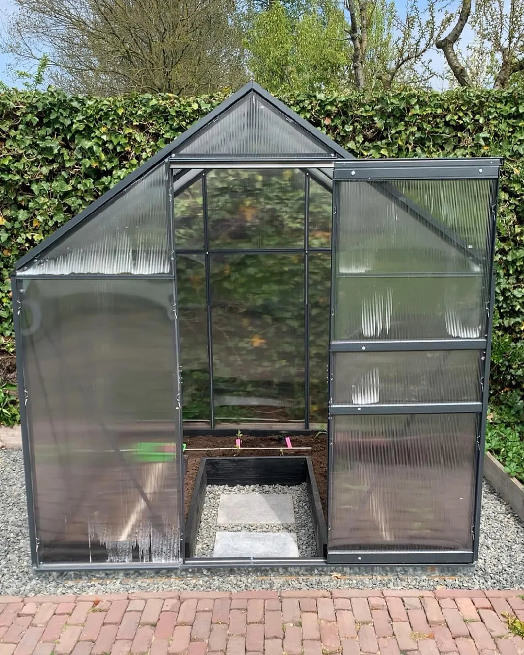 Gewächshaus Sunshine-Pro mit Fundament in Anthrazit aus Aluminium