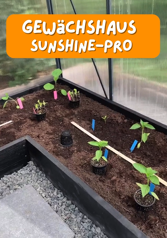 Gewächshaus Sunshine-Pro mit Fundament in Anthrazit aus Aluminium