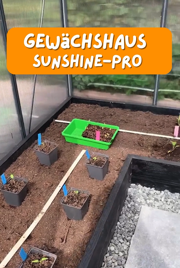 Gewächshaus Sunshine-Pro mit Fundament in Anthrazit aus Aluminium