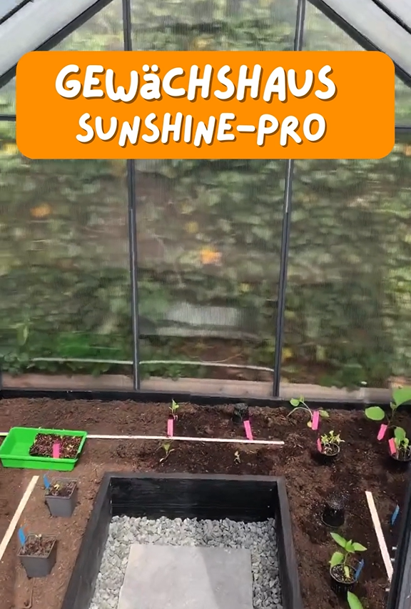 Gewächshaus Sunshine-Pro mit Fundament in Anthrazit aus Aluminium