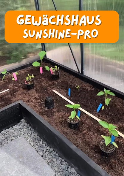 Gewächshaus Sunshine-Pro mit Fundament in Anthrazit aus Aluminium